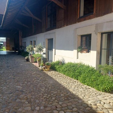 Cote Cour Bischwihr Colmar Bed & Breakfast Luaran gambar