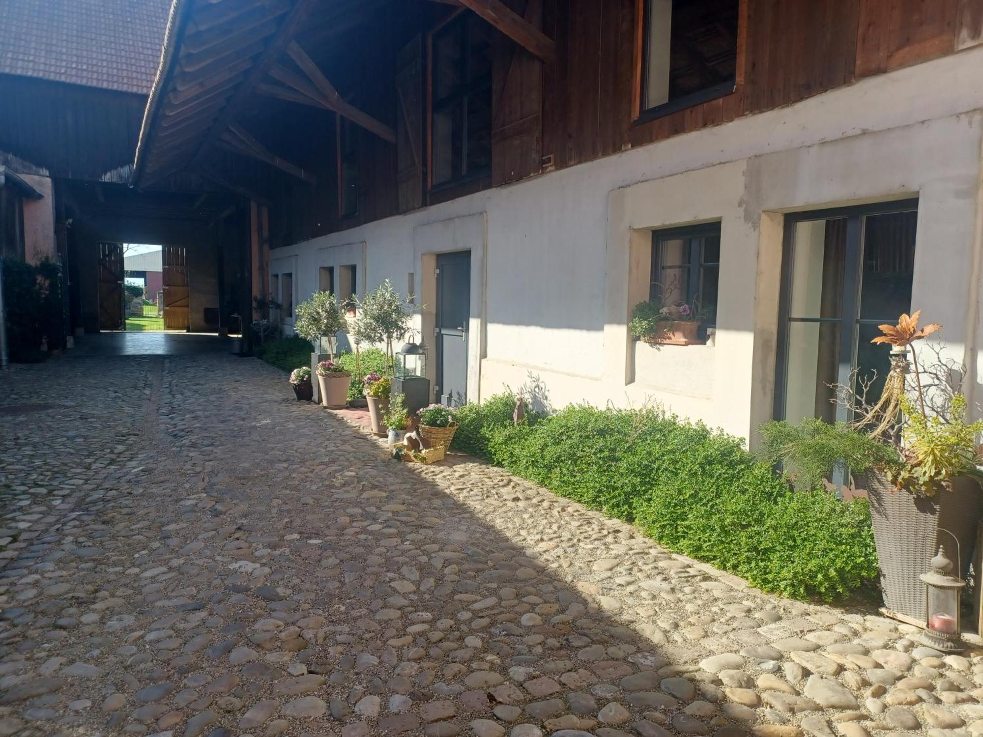 Cote Cour Bischwihr Colmar Bed & Breakfast Luaran gambar