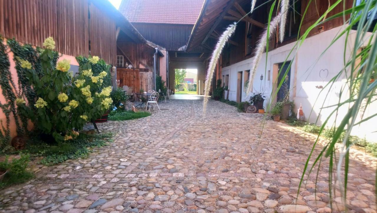Cote Cour Bischwihr Colmar Bed & Breakfast Luaran gambar